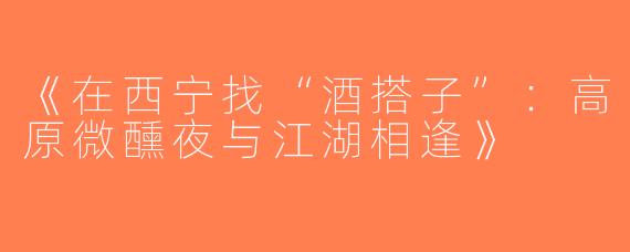 《在西宁找“酒搭子”：高原微醺夜与江湖相逢》