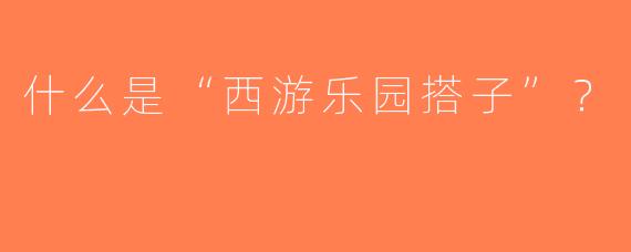 什么是“西游乐园搭子”？