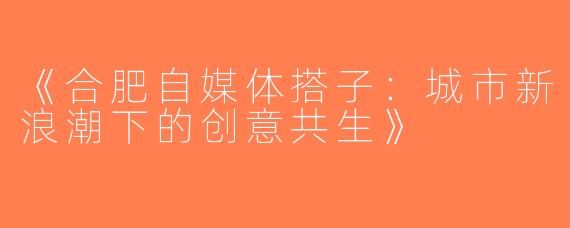 《合肥自媒体搭子：城市新浪潮下的创意共生》