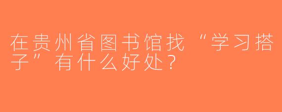 在贵州省图书馆找“学习搭子”有什么好处？