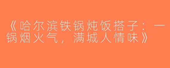 《哈尔滨铁锅炖饭搭子：一锅烟火气，满城人情味》