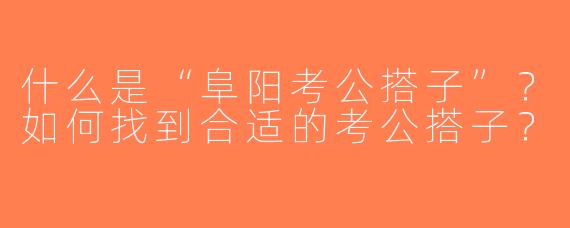 什么是“阜阳考公搭子”？如何找到合适的考公搭子？