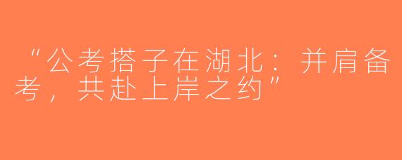 “公考搭子在湖北：并肩备考，共赴上岸之约”