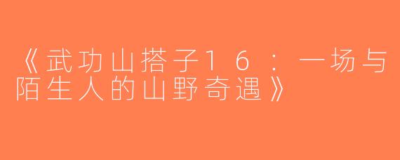 《武功山搭子16：一场与陌生人的山野奇遇》
