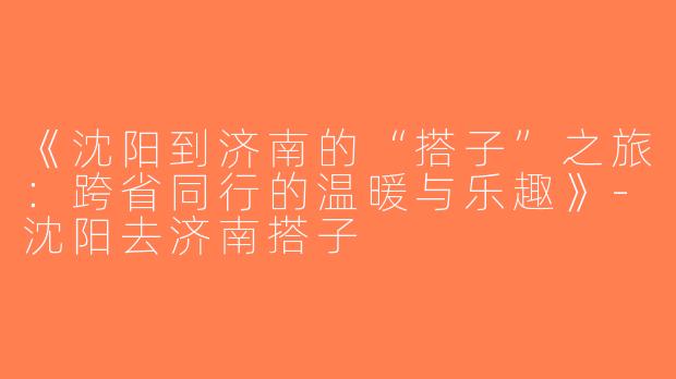 《沈阳到济南的“搭子”之旅：跨省同行的温暖与乐趣》-沈阳去济南搭子