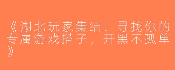 《湖北玩家集结！寻找你的专属游戏搭子，开黑不孤单》