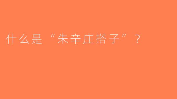 什么是“朱辛庄搭子”？