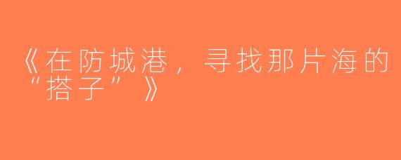 《在防城港，寻找那片海的“搭子”》