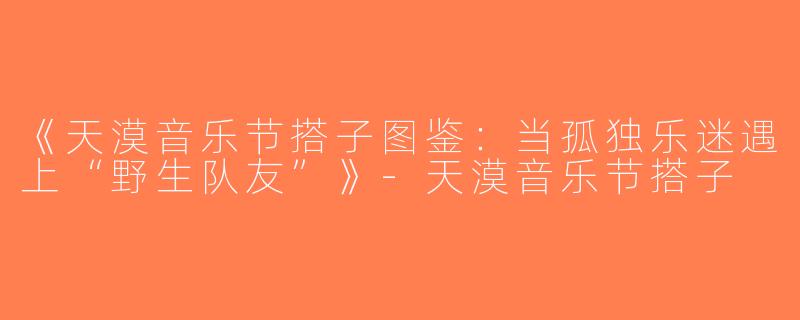 《天漠音乐节搭子图鉴：当孤独乐迷遇上“野生队友”》-天漠音乐节搭子