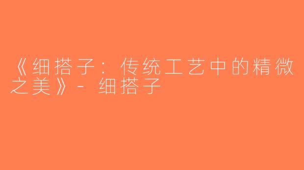 《细搭子：传统工艺中的精微之美》-细搭子