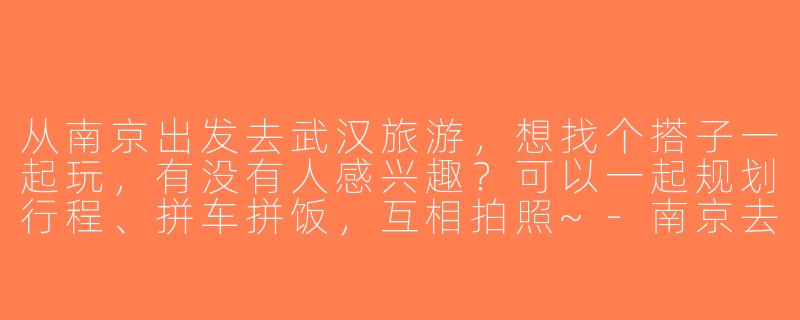 从南京出发去武汉旅游，想找个搭子一起玩，有没有人感兴趣？可以一起规划行程、拼车拼饭，互相拍照~-南京去武汉旅游搭子