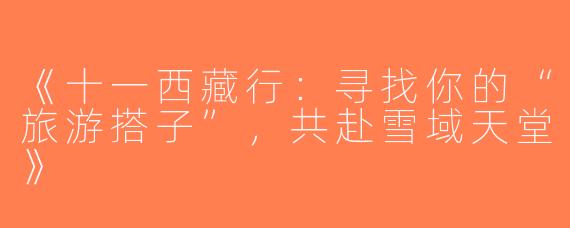 《十一西藏行：寻找你的“旅游搭子”，共赴雪域天堂》