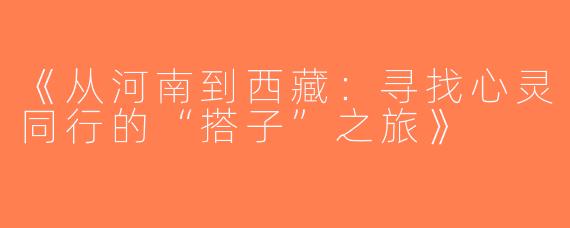 《从河南到西藏：寻找心灵同行的“搭子”之旅》