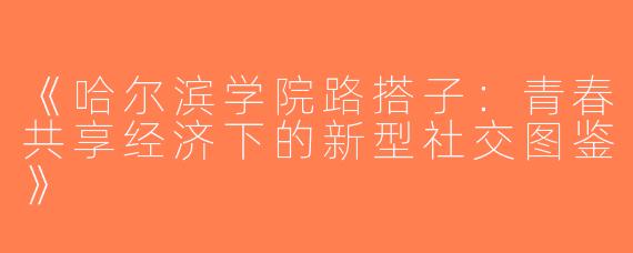《哈尔滨学院路搭子：青春共享经济下的新型社交图鉴》