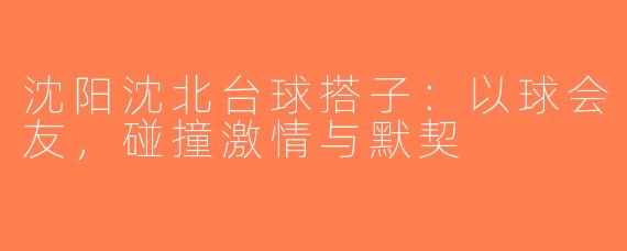 沈阳沈北台球搭子：以球会友，碰撞激情与默契