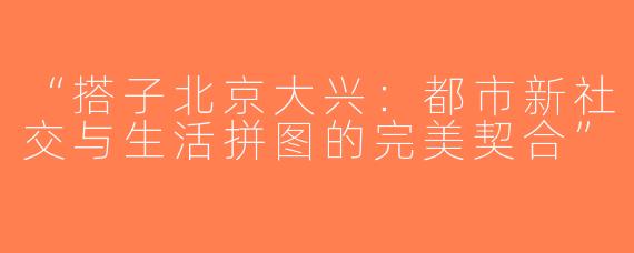 “搭子北京大兴：都市新社交与生活拼图的完美契合”