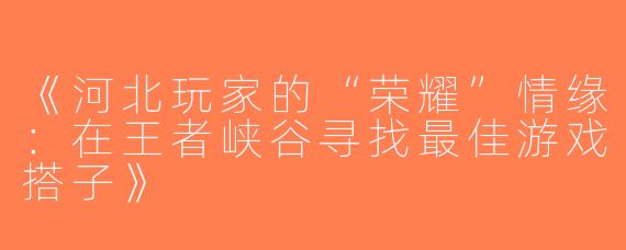 《河北玩家的“荣耀”情缘：在王者峡谷寻找最佳游戏搭子》