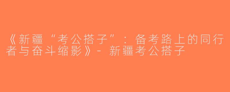 《新疆“考公搭子”：备考路上的同行者与奋斗缩影》-新疆考公搭子