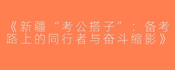 《新疆“考公搭子”：备考路上的同行者与奋斗缩影》