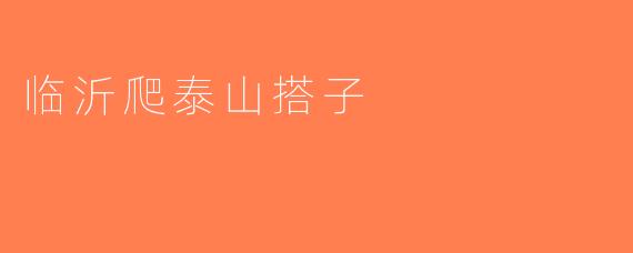 临沂爬泰山搭子