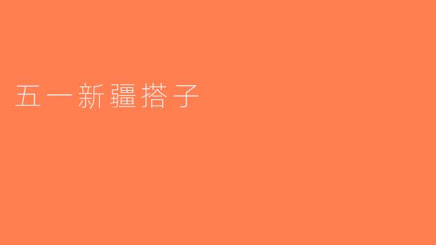 五一新疆搭子