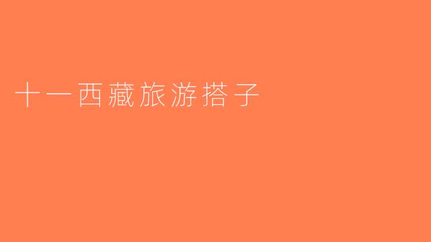十一西藏旅游搭子