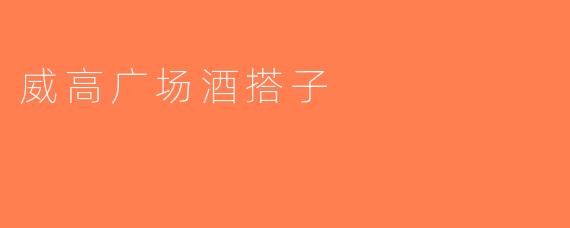 威高广场酒搭子