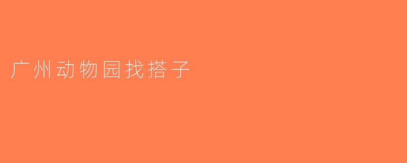 广州动物园找搭子