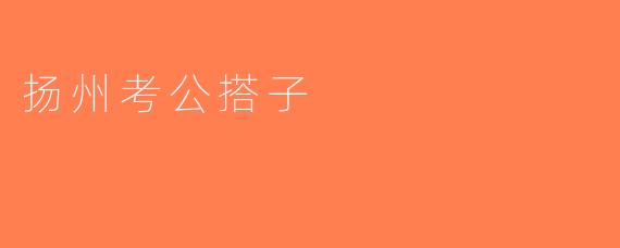 扬州考公搭子