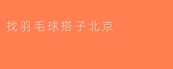 找羽毛球搭子北京