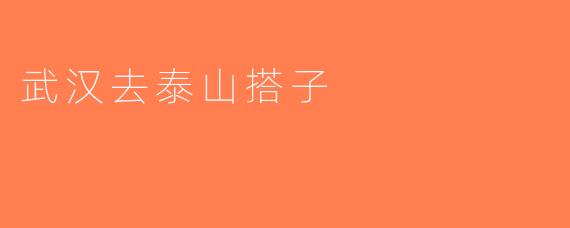 武汉去泰山搭子