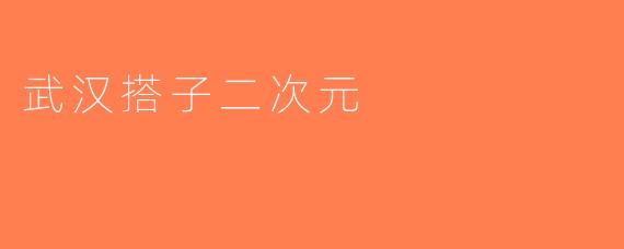 武汉搭子二次元
