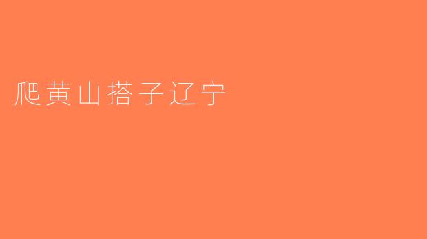 爬黄山搭子辽宁