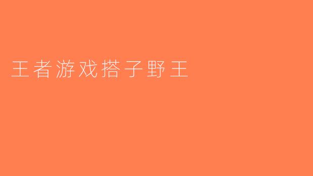王者游戏搭子野王