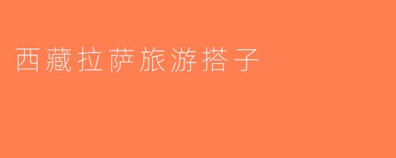 西藏拉萨旅游搭子