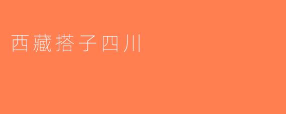西藏搭子四川