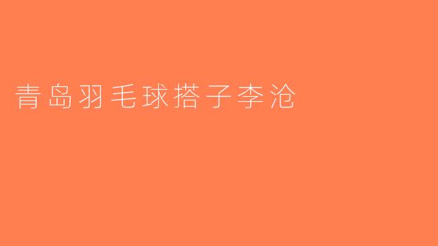 青岛羽毛球搭子李沧