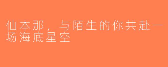 仙本那,与陌生的你共赴一场海底星空