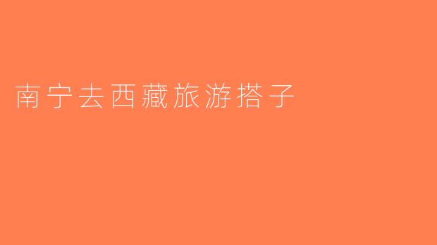 南宁去西藏旅游搭子