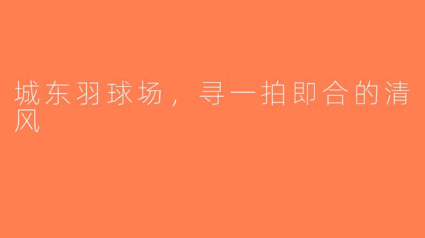 城东羽球场，寻一拍即合的清风