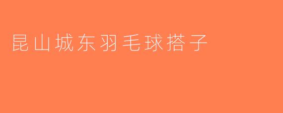 昆山城东羽毛球搭子