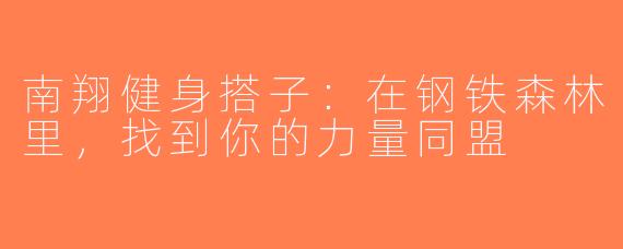 南翔健身搭子：在钢铁森林里，找到你的力量同盟