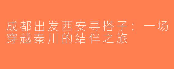 成都出发西安寻搭子：一场穿越秦川的结伴之旅