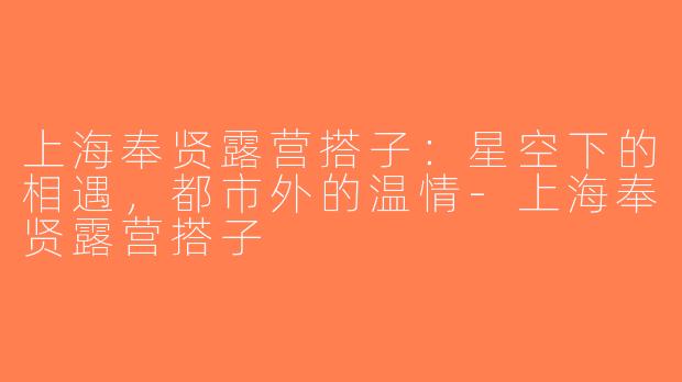 上海奉贤露营搭子：星空下的相遇，都市外的温情-上海奉贤露营搭子
