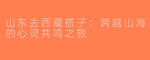 山东去西藏搭子：跨越山海的心灵共鸣之旅