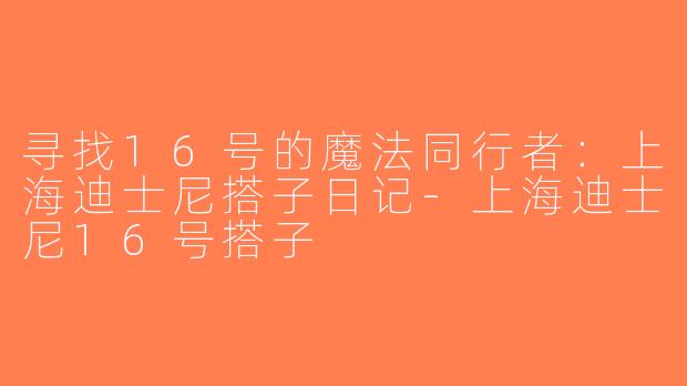 寻找16号的魔法同行者：上海迪士尼搭子日记-上海迪士尼16号搭子
