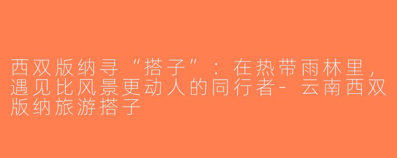 西双版纳寻“搭子”：在热带雨林里，遇见比风景更动人的同行者-云南西双版纳旅游搭子
