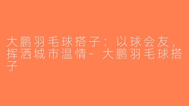 大鹏羽毛球搭子：以球会友，挥洒城市温情-大鹏羽毛球搭子