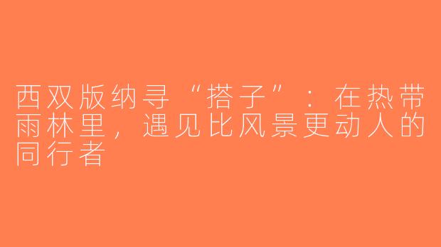 西双版纳寻“搭子”：在热带雨林里，遇见比风景更动人的同行者