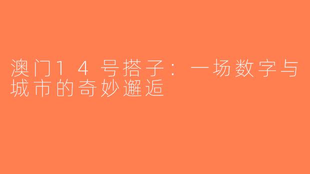 澳门14号搭子：一场数字与城市的奇妙邂逅